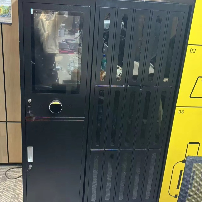Изготовленные на заказ в Китае – обзор и цена Sports Equipment Locker
