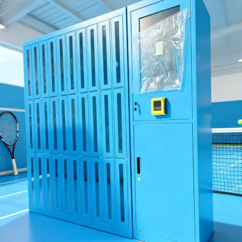 Высококачественное спортивное  – обзор и цена Sports Equipment Locker