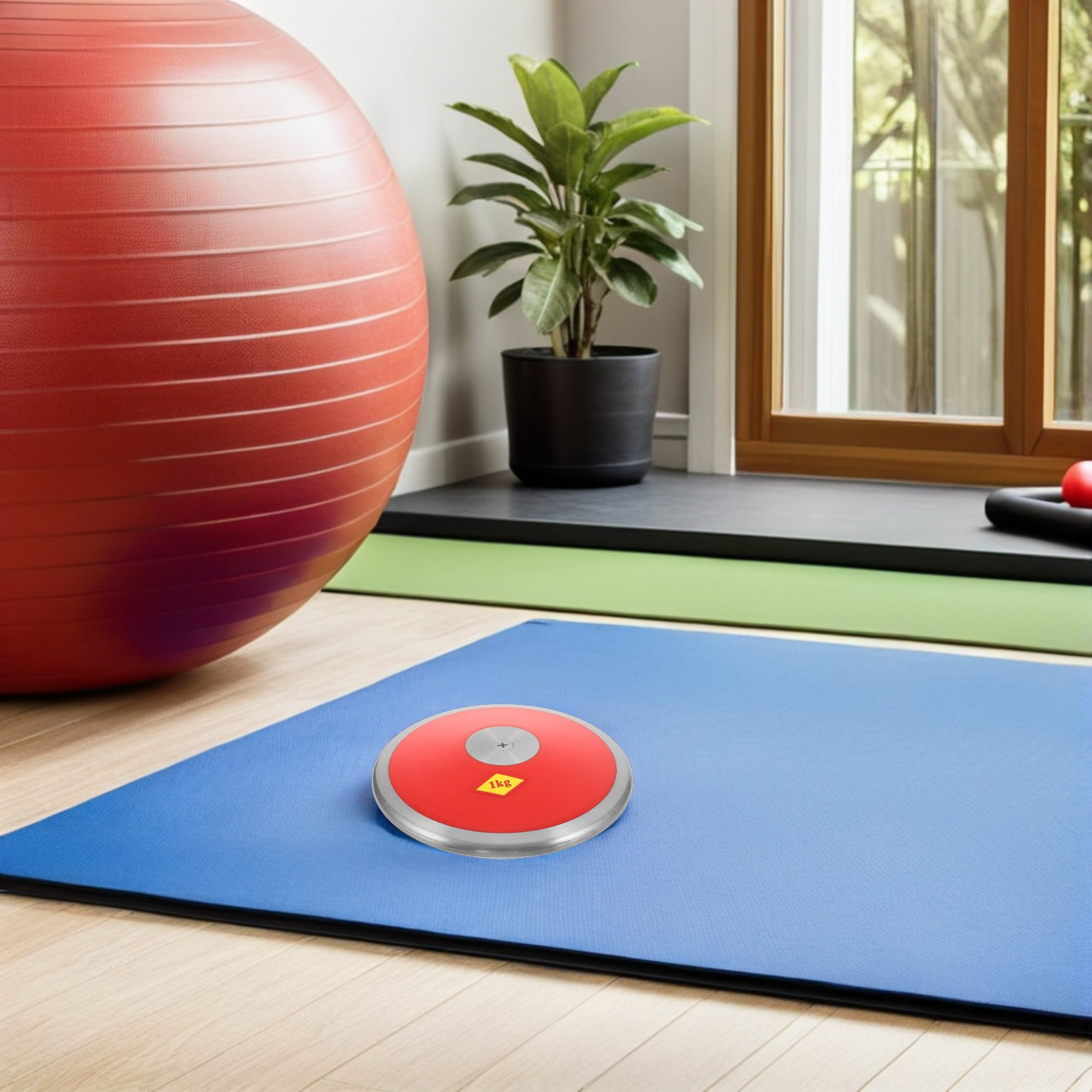 Нейлоновый диск весом 1 кг, пр – обзор и цена Sports Equipment Training